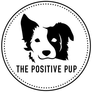 PupPod Gaming, Training, and Enrichment System for Dogs - Positive Rei